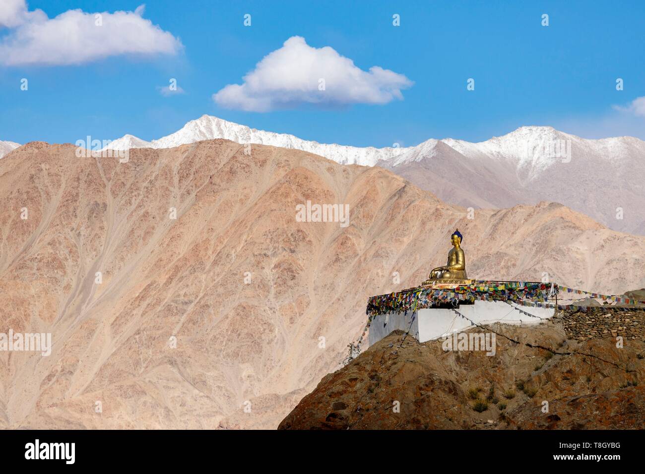 India, state of Jammu and Kashmir, Himalaya, Ladakh, Indus valley