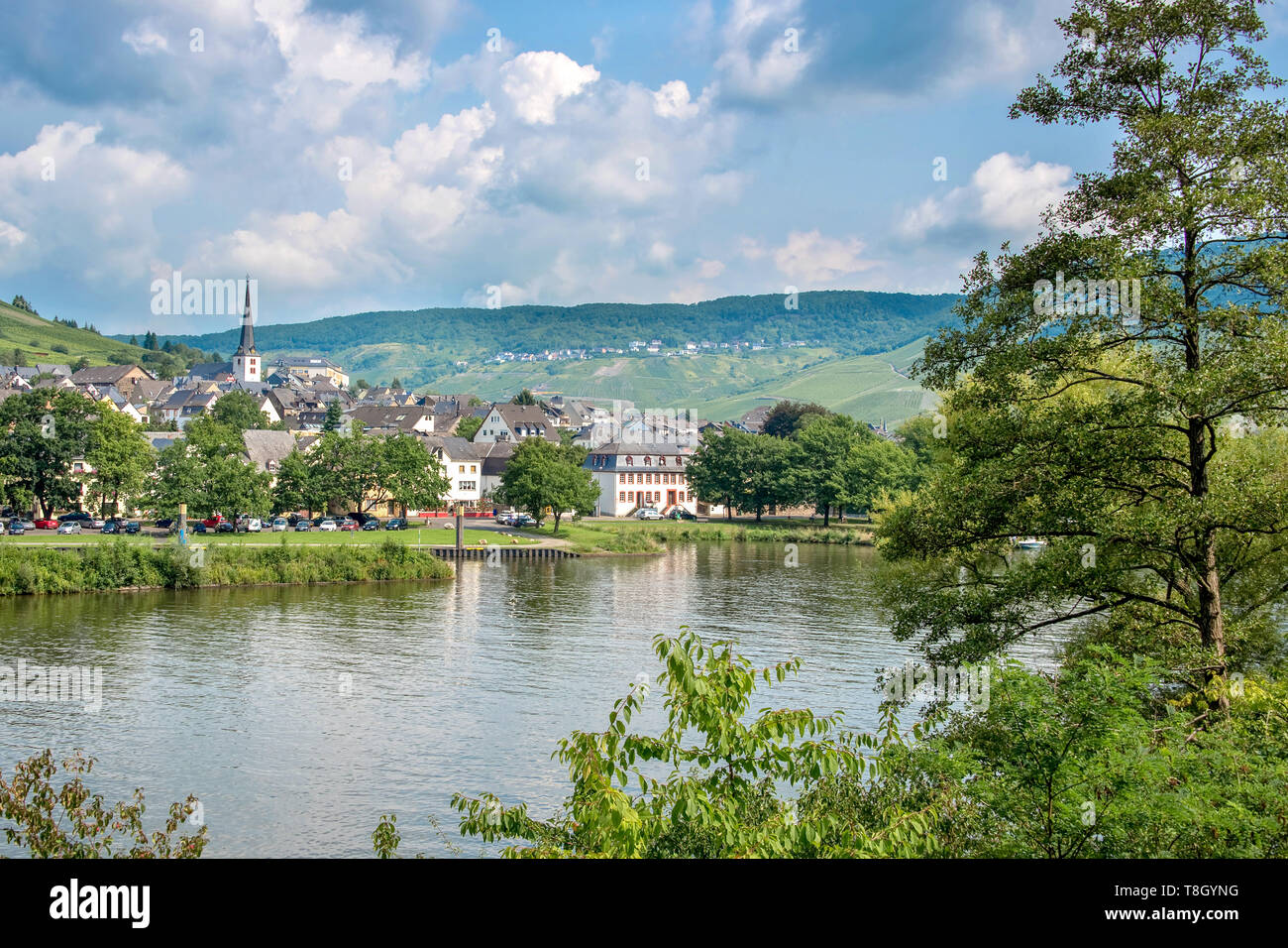 Landscape of the Mosel valley and river with a picturesque village, Germany Stock Photo