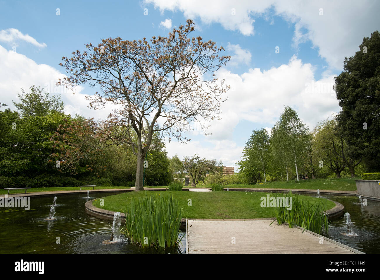 Landscaped water gardens image, Nottingham Stock Photo Alamy