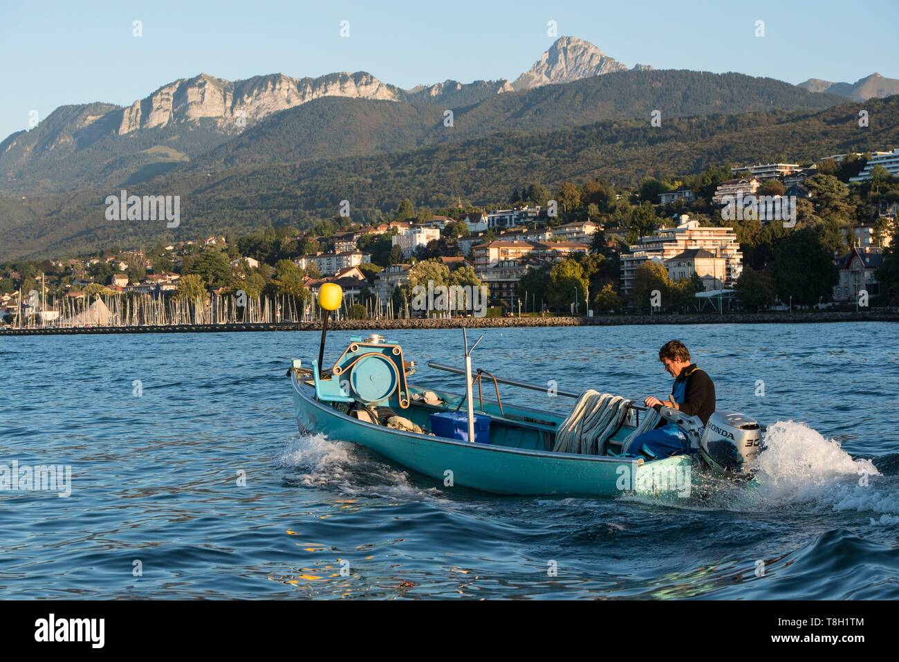 France, Haute Savoie, Evian les Bains, a professional fisherman in a boat, takes the nets of feras close to the shore of Lake Leman, return to the port and tooth of Oche Stock Photo