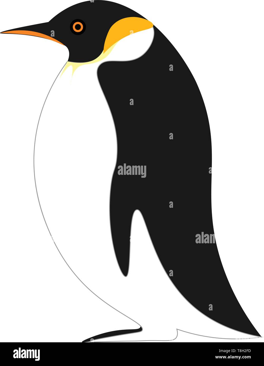 Penguin hand drawn design, illustration, vector on white background ...