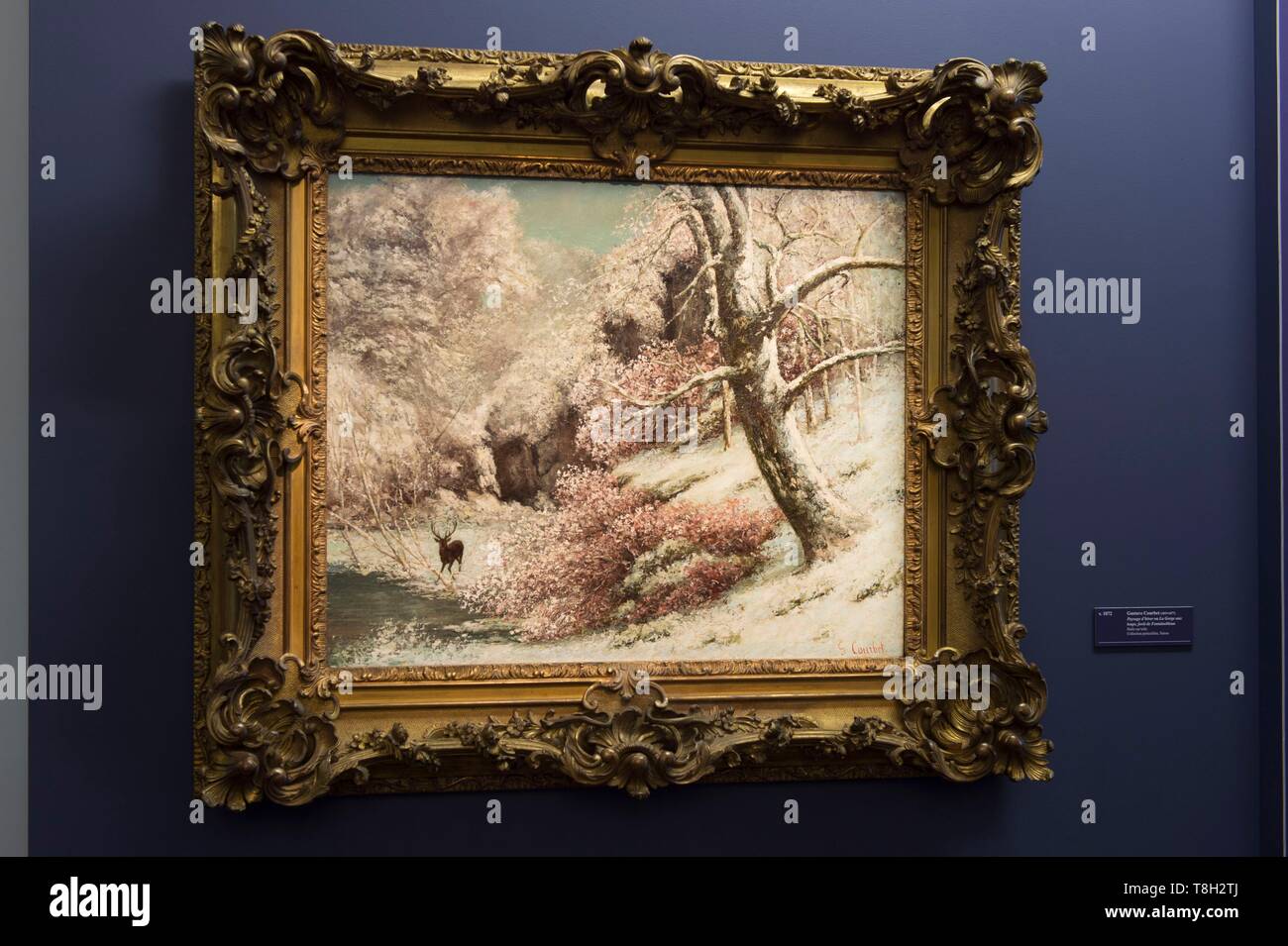 France, Doubs, Loue valley, exhibition room of the Gustave Courbet museum to Ornans,a winter landscape of the forest of Fontainebleau Stock Photo