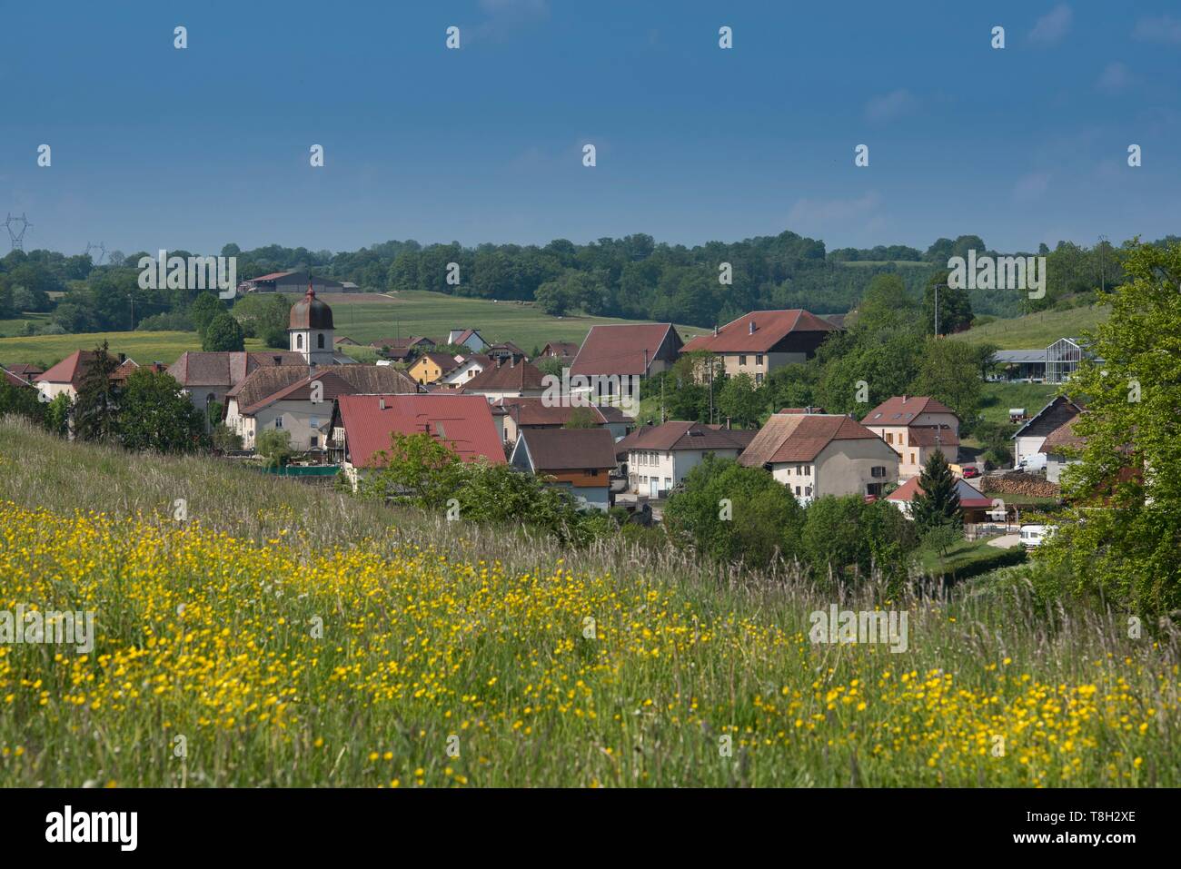 France, Doubs, Loue valley, meadow in front of the village of Ouhans which houses the source of the Loue Stock Photo