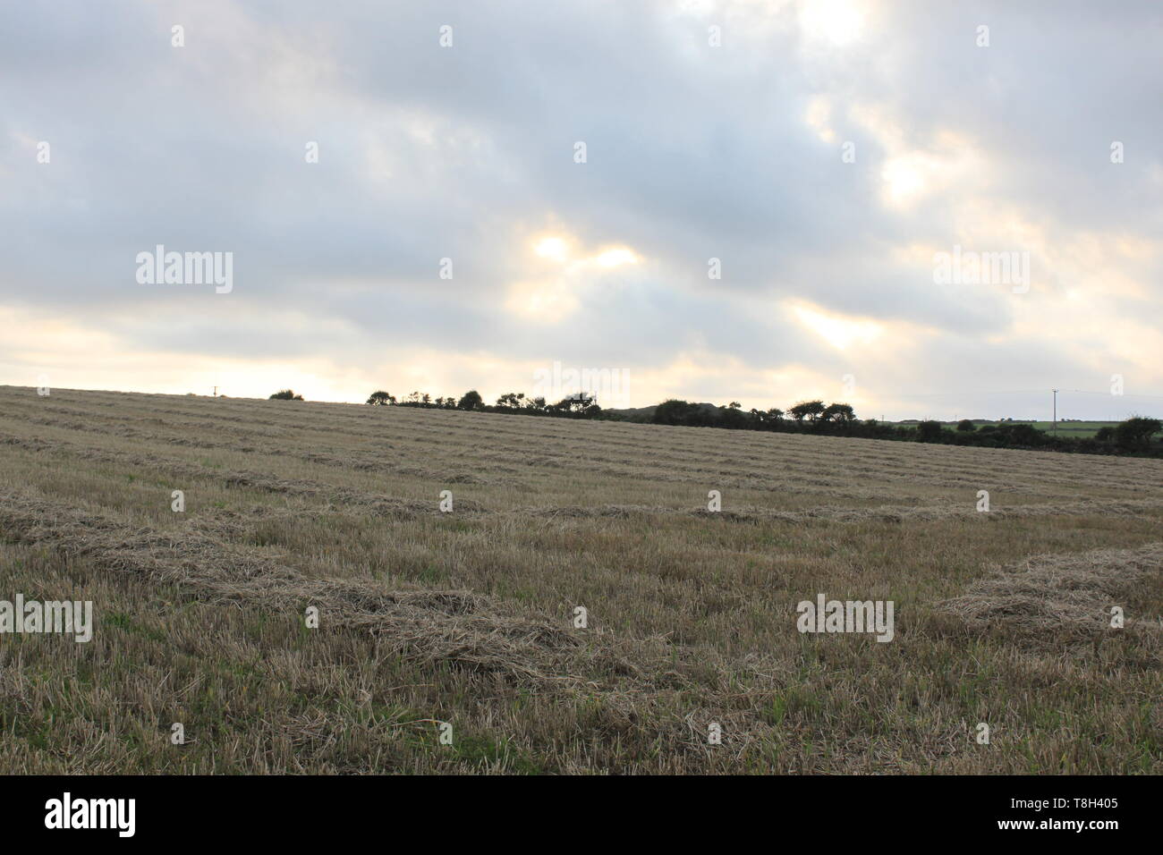 Ploughed agri field hi-res stock photography and images - Alamy