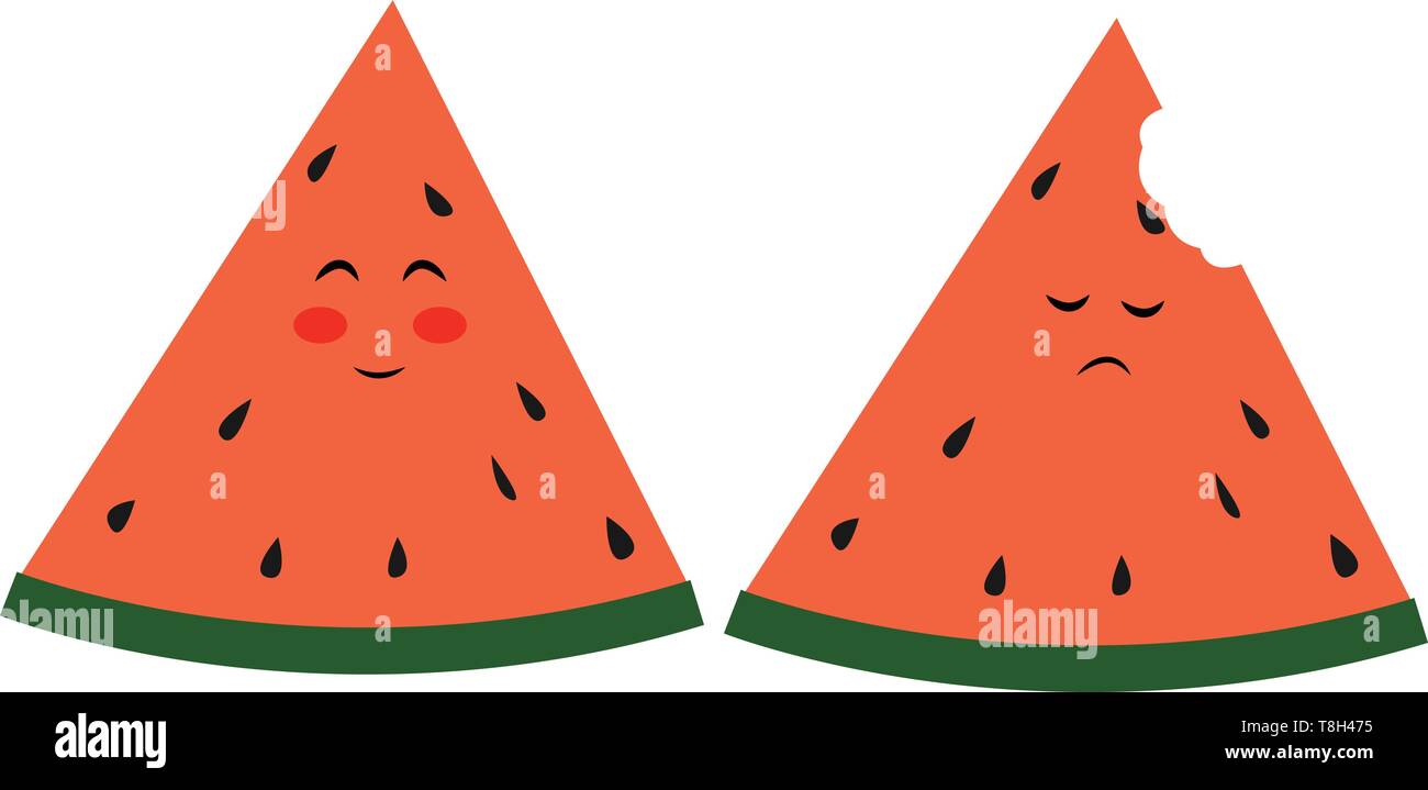 Watermelons, illustration, vector on white background. Stock Vector