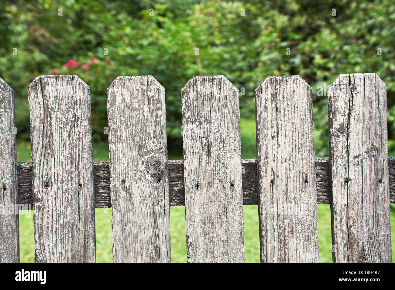 Old faded village wooden fence in a summer garden Stock Photo - Alamy