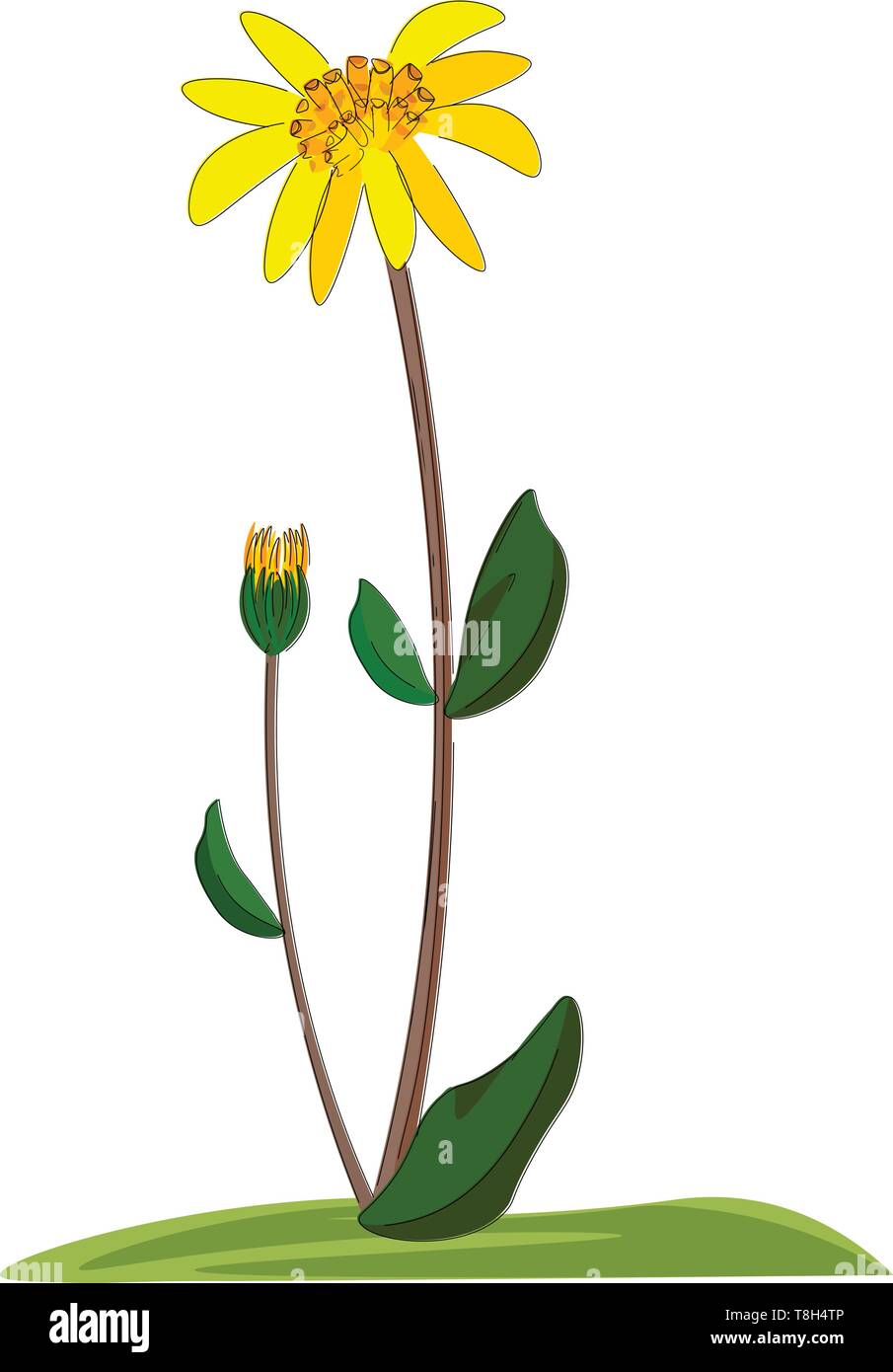 Twig With Small Green Leaves Vector Illustration Of Plant Drawing Of  Branchlet With Shadow Stock Illustration - Download Image Now - iStock