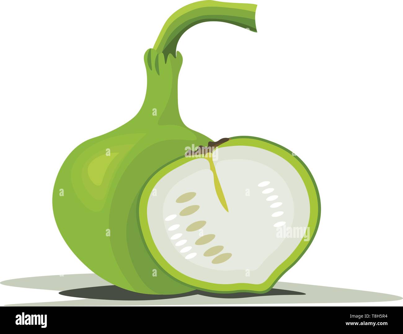 GETIT.QA | Buy Fresh Bottle Gourd - ചുരക്ക at Lowest Price in Qatar