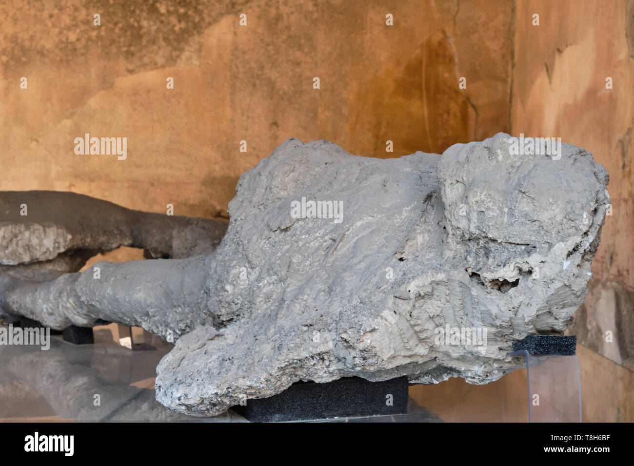 Pompeii victims covered by volcanic ash Stock Photo Alamy