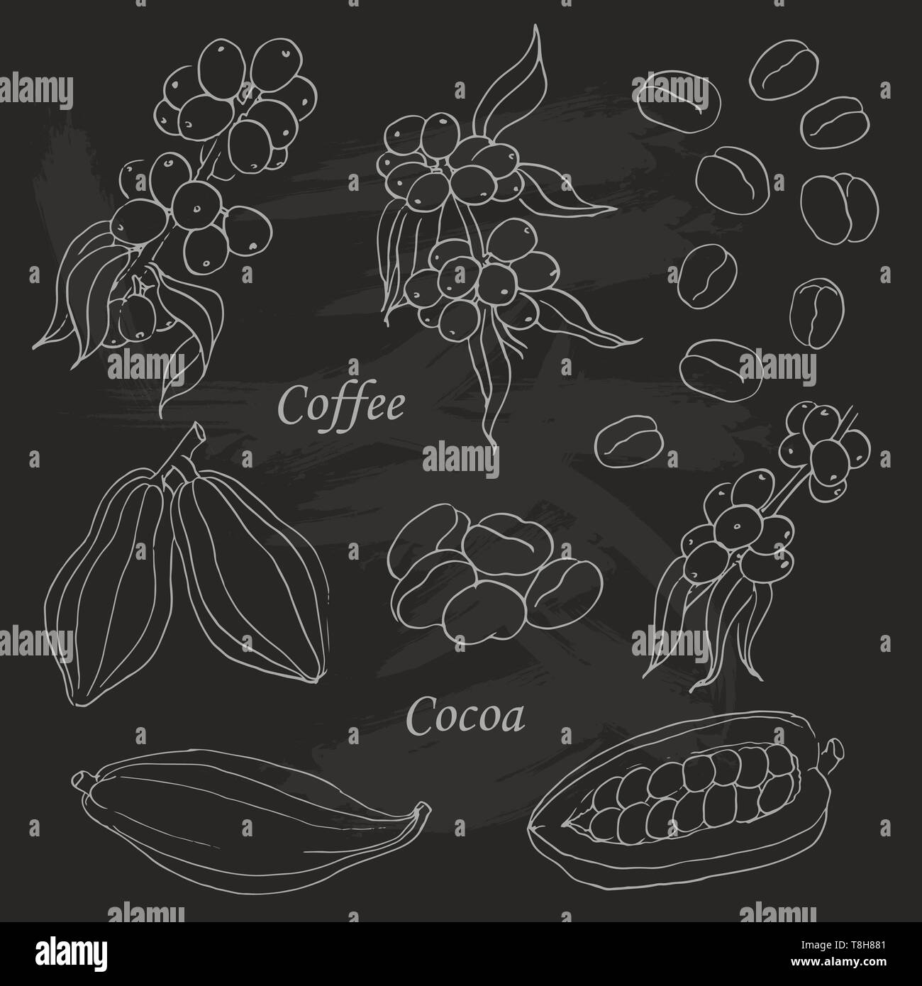Set of coffee and cocoa elements doodle style on the black background ...
