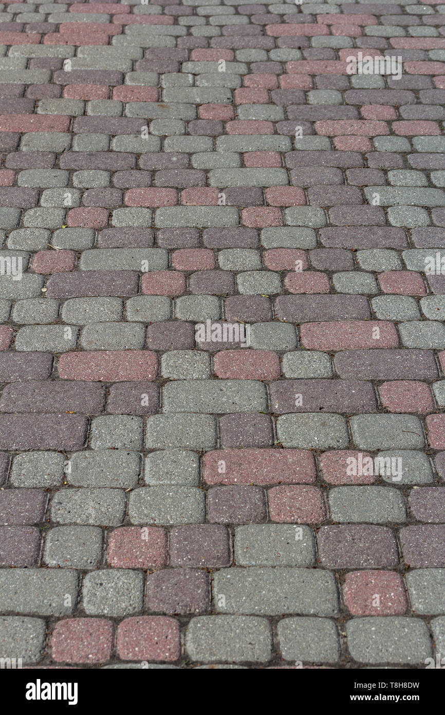 Paving colored concrete tile texture background. Copy space Stock Photo