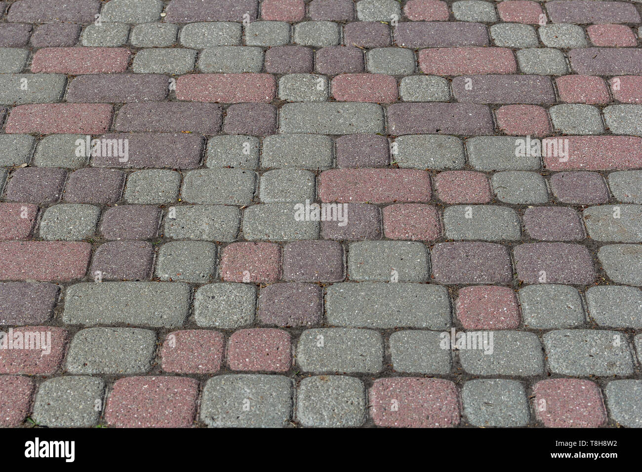 Paving colored concrete tile texture background. Copy space Stock Photo