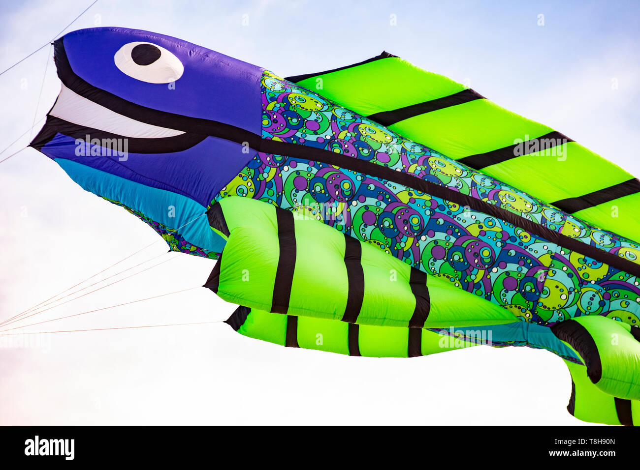 Flying kite with Fish-shaped colored green and purple Stock Photo