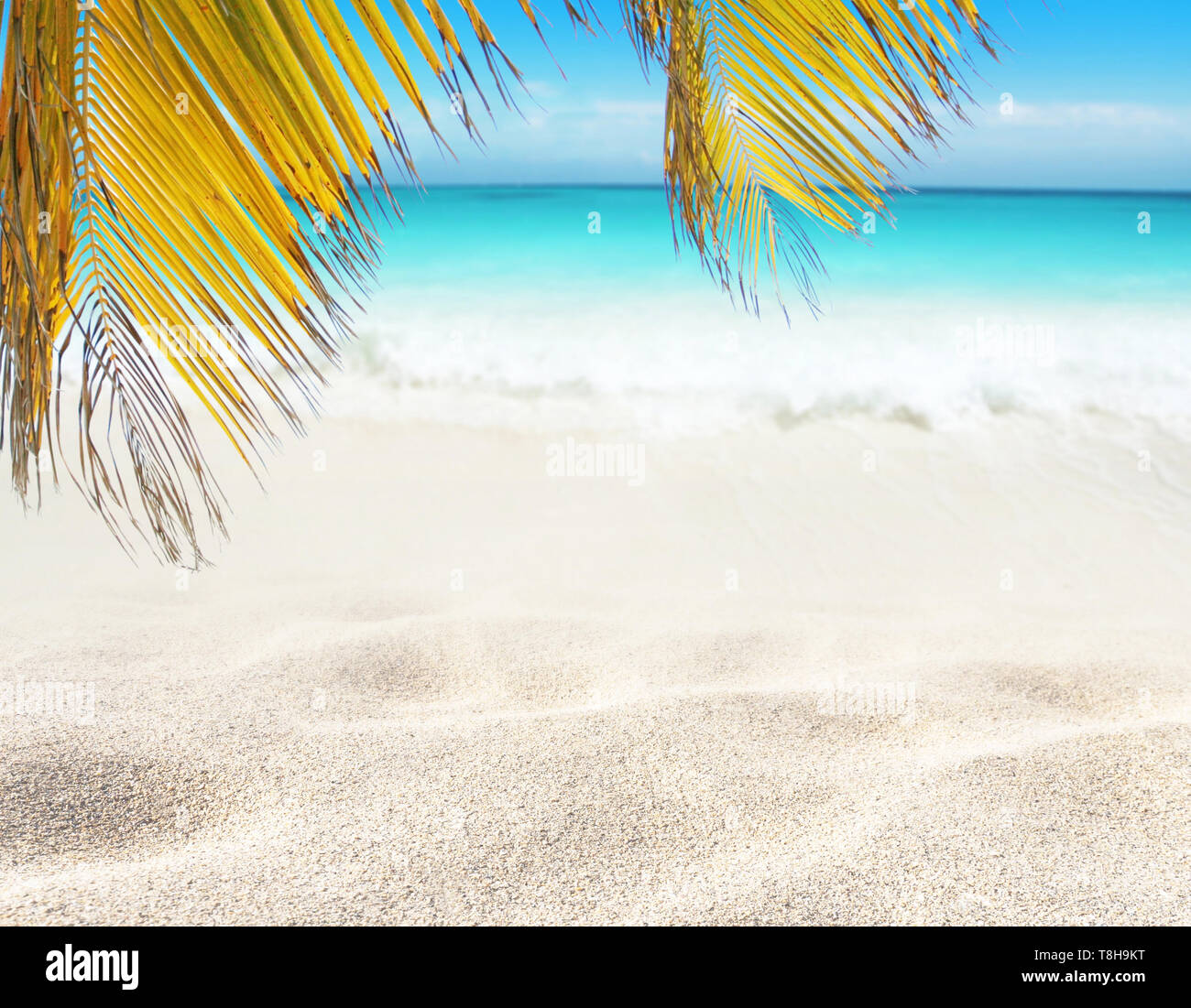 Coconut palm leaves hanging over the sandy beach and bright turquoise ocean water. Tropical island paradise. Shore washing by the wave. Dream summer v Stock Photo