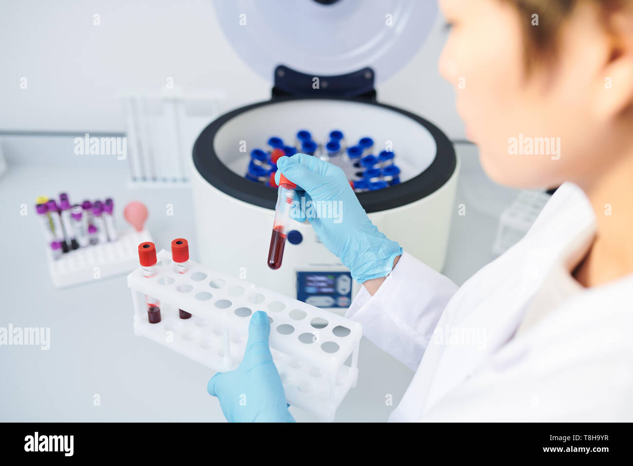 Preparing blood samples for centrifuge Stock Photo Alamy