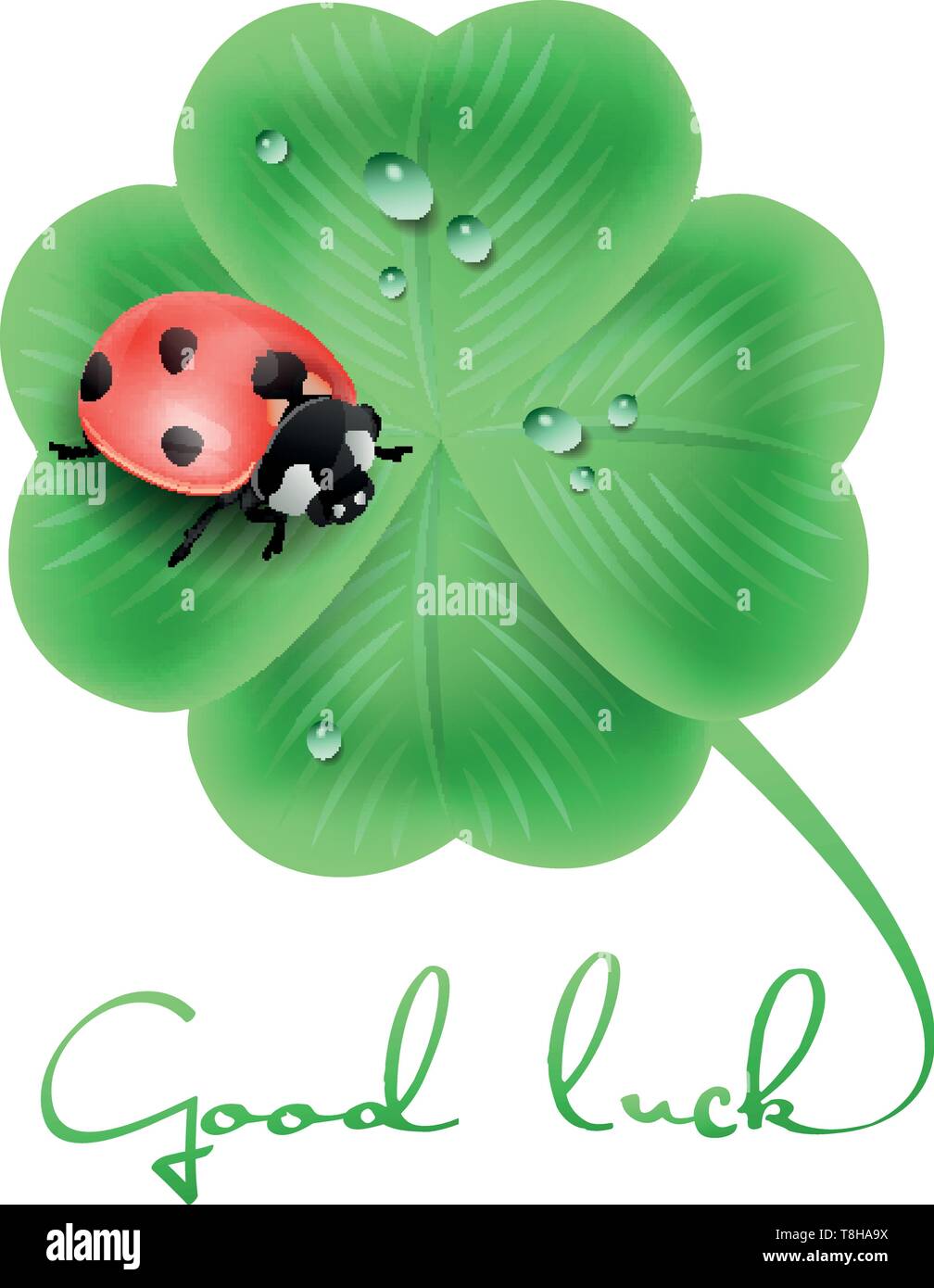 Goof luck clover with a ladybug Stock Vector