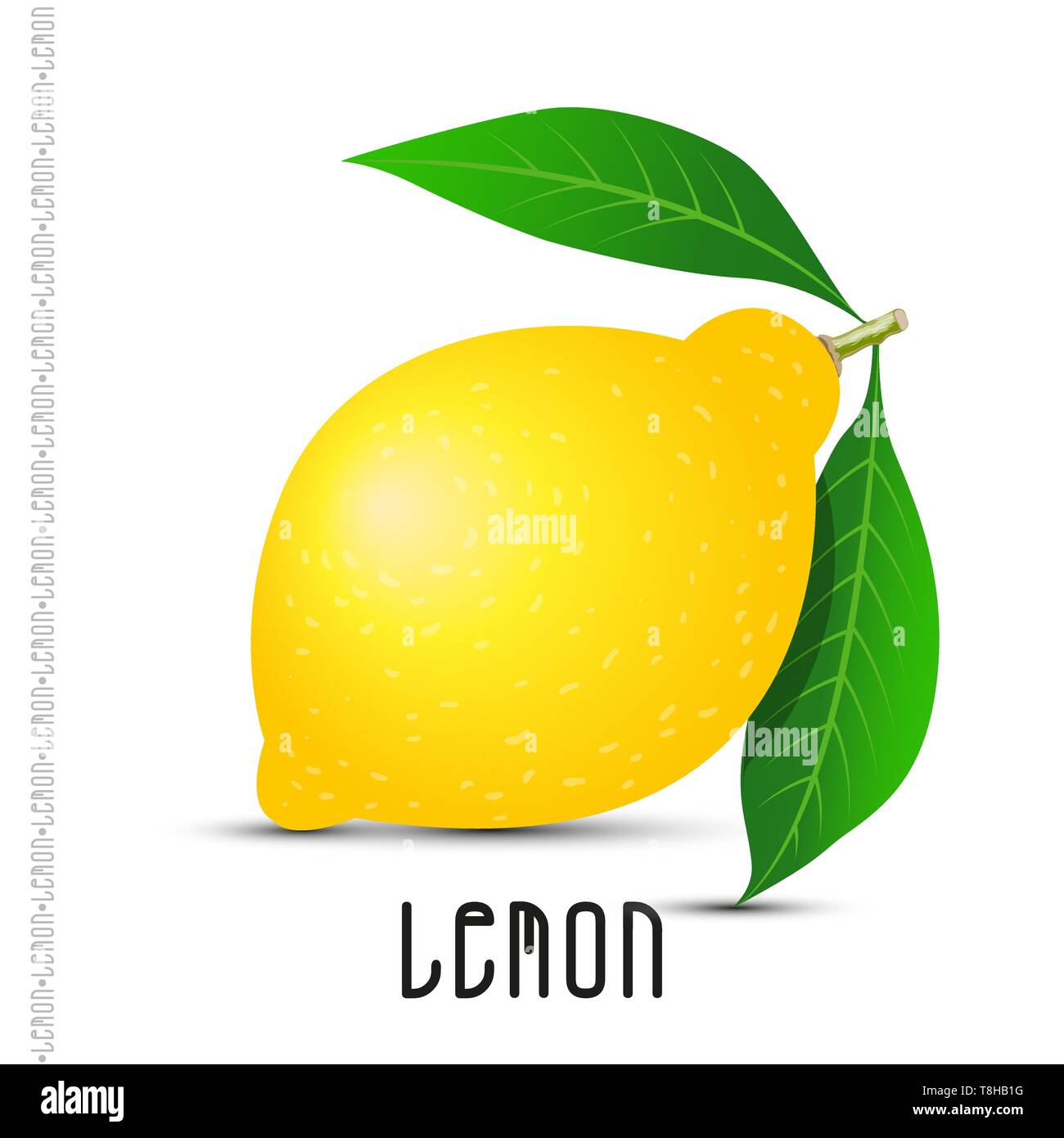 Lemon on white background. Vector illustration for your design Stock ...