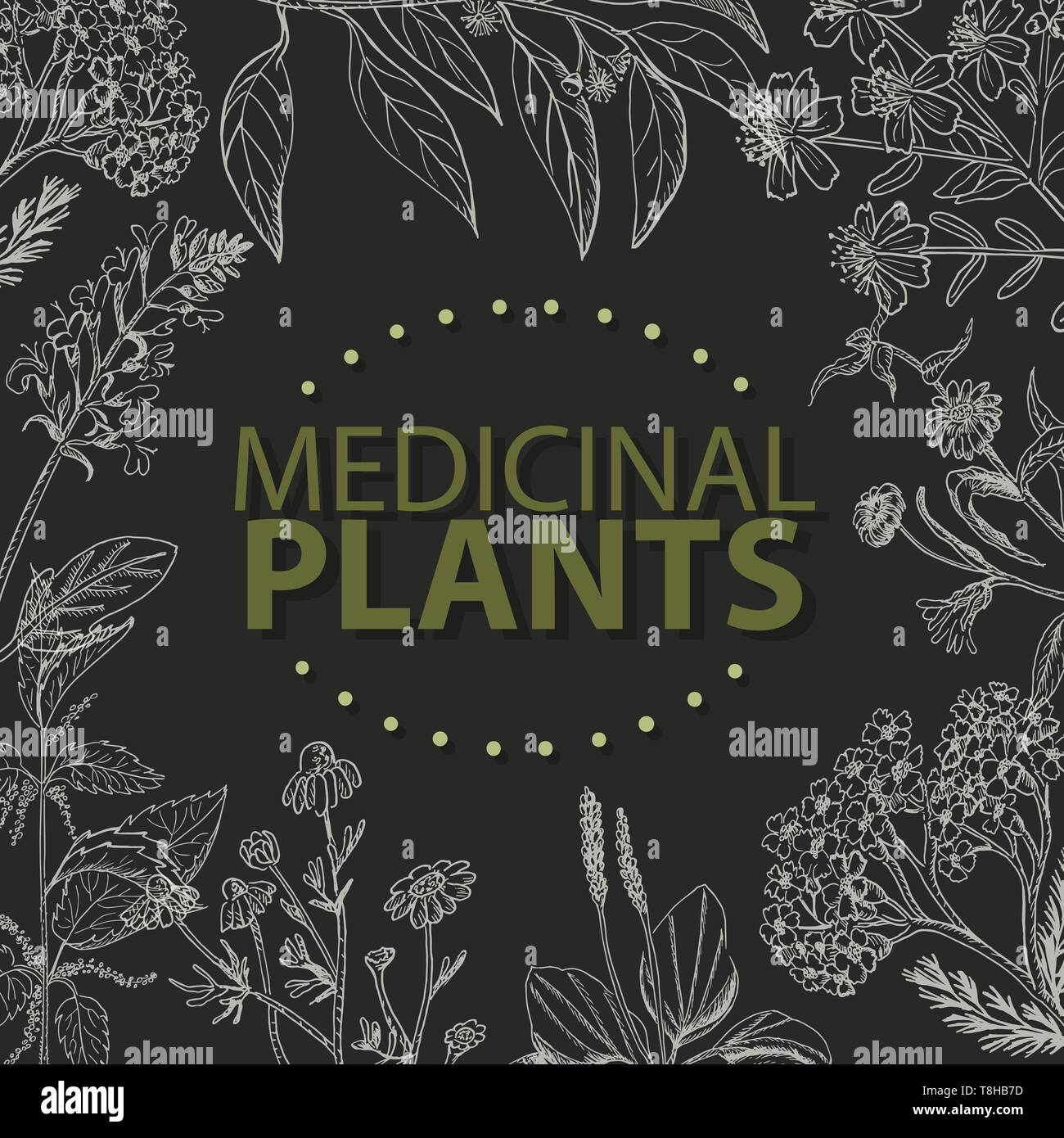 Vector background with medical herbs on a black background. Vector ...