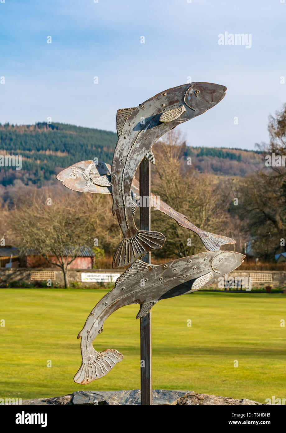 Metal sculpture of leaping salmon near River Tay, Aberfeldy, Perthshire, Scotland, UK Stock Photo