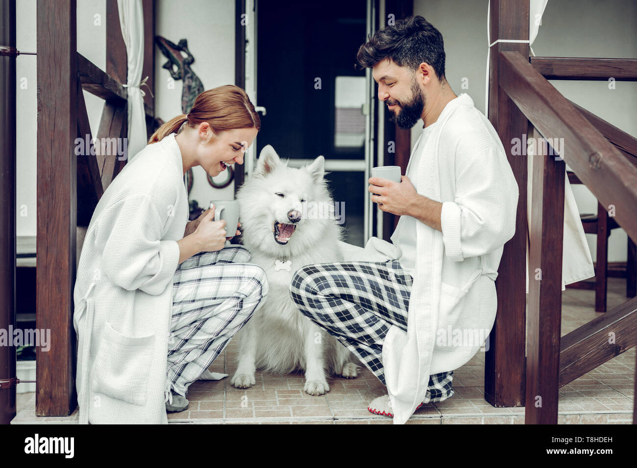 Happy loving family sharing a laugh while sitting with samoyed. Stock Photo