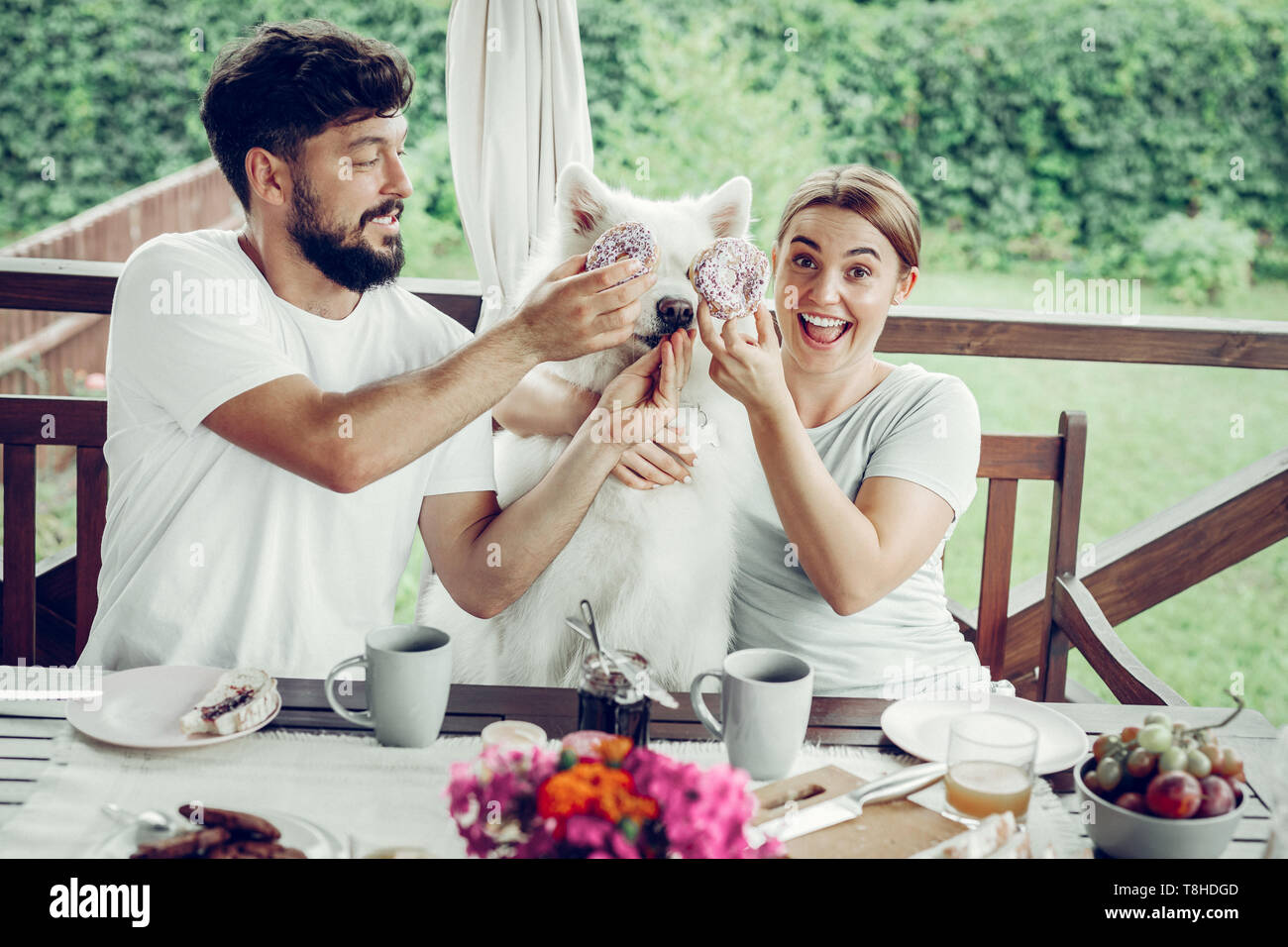 Happy wife and dark-haired husband putting doughnuts to the dog. Stock Photo