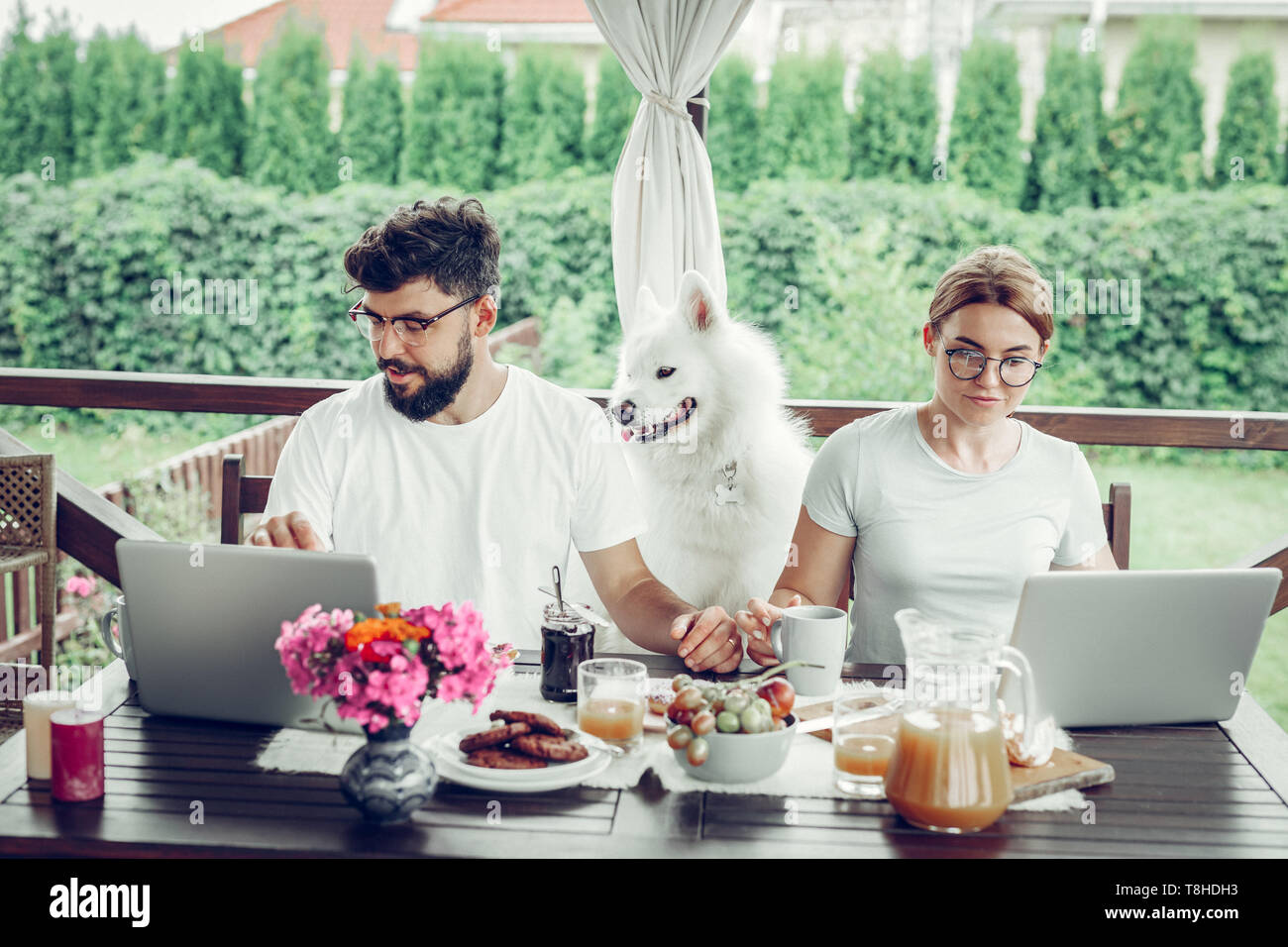 Serious focused married couple engaging in remote work on laptops Stock Photo