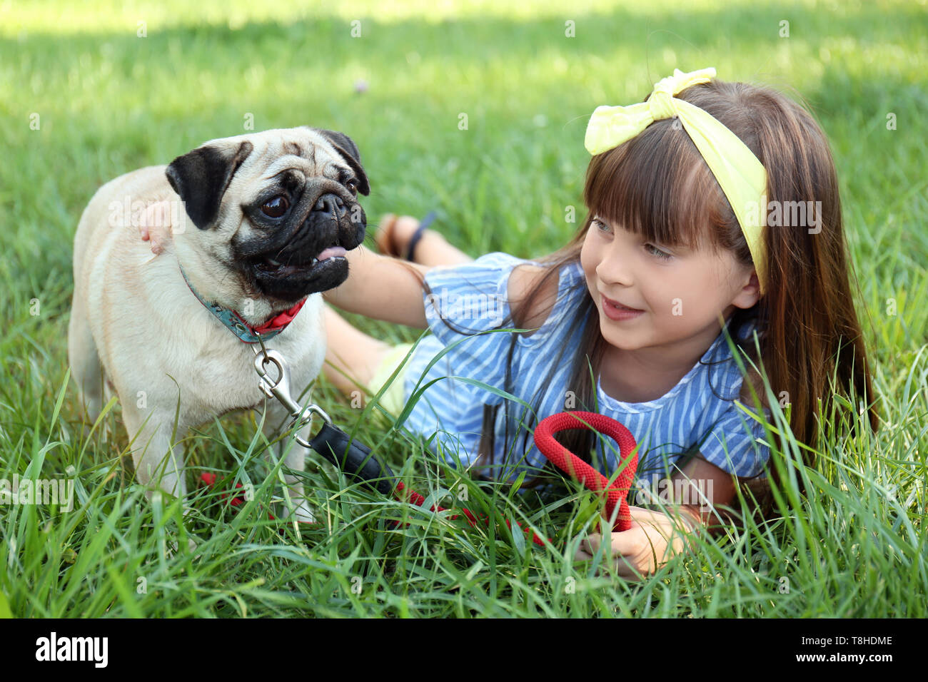 Cute little girl with pug dog in park on summer day Stock Photo - Alamy