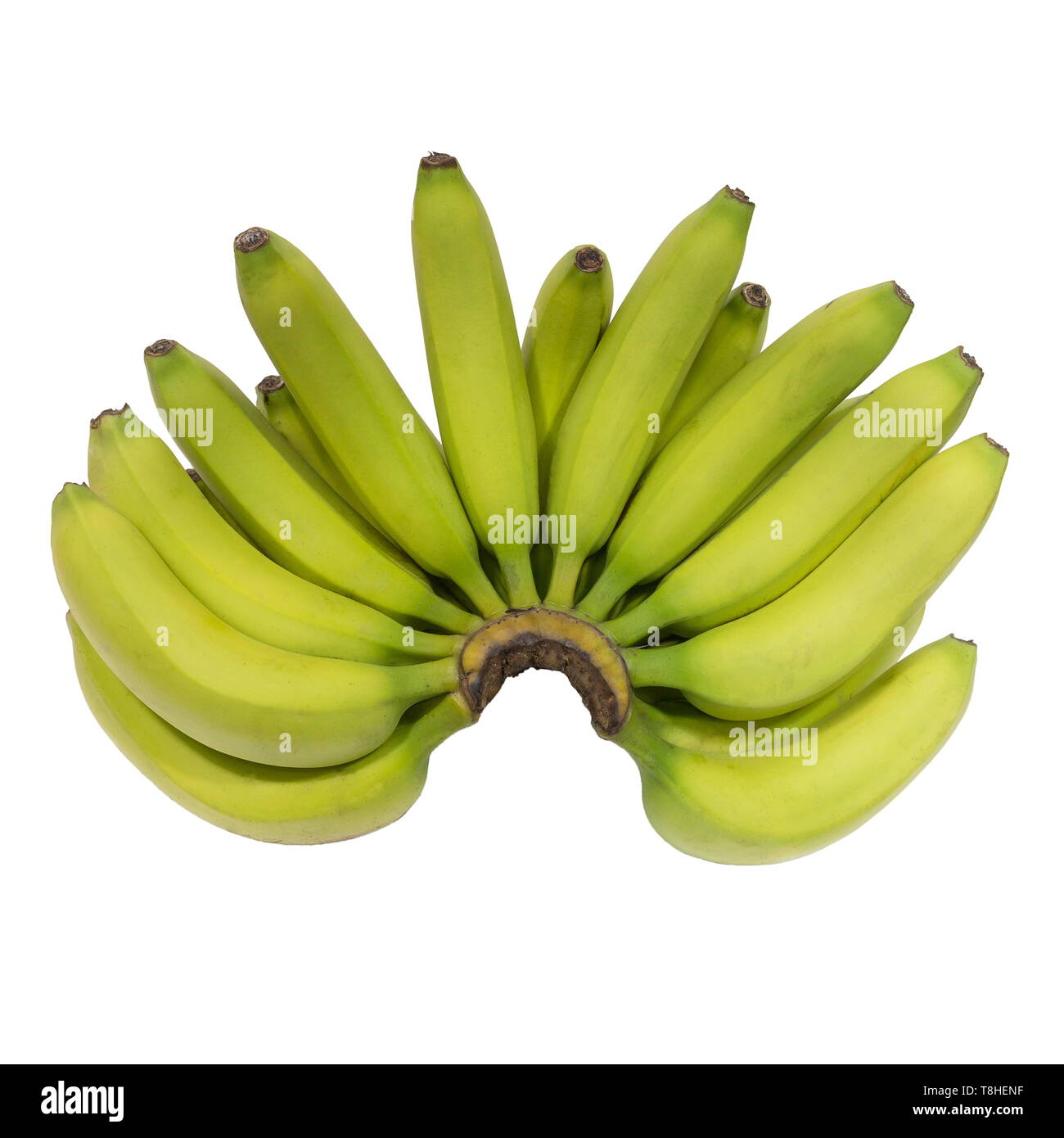Banana Cluster Hi Res Stock Photography And Images Alamy