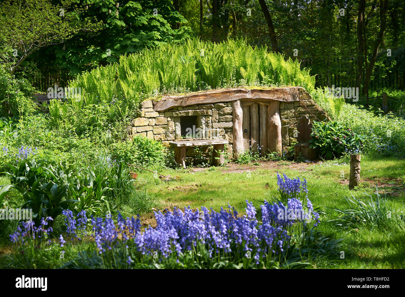 Hobbits House with springtime ferns and bluebells (Hyacinthoides non-scripta ) growing around it. East Riding of Yorkshire, UK, GB. Stock Photo