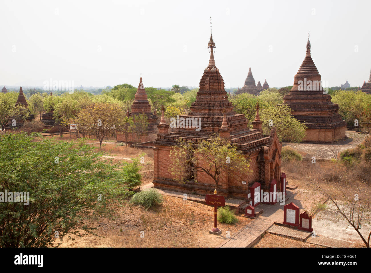 View of stupas and temples near Alotawpyae temple, Old Bagan and Nyaung U village area, Mandalay region, Myanmar, Asia Stock Photo