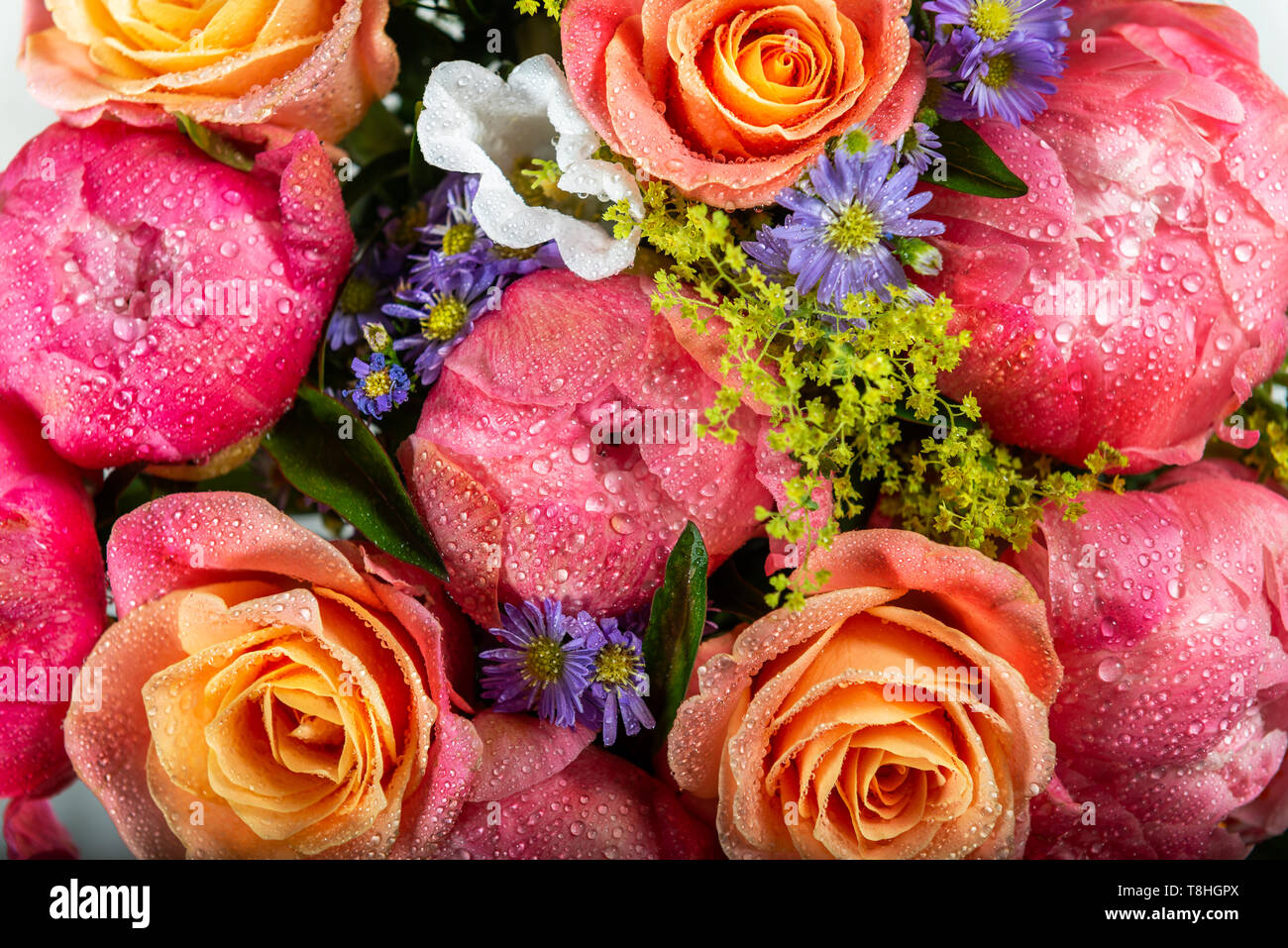 Bouquet of fresh pink peonies and roses Stock Photo - Alamy