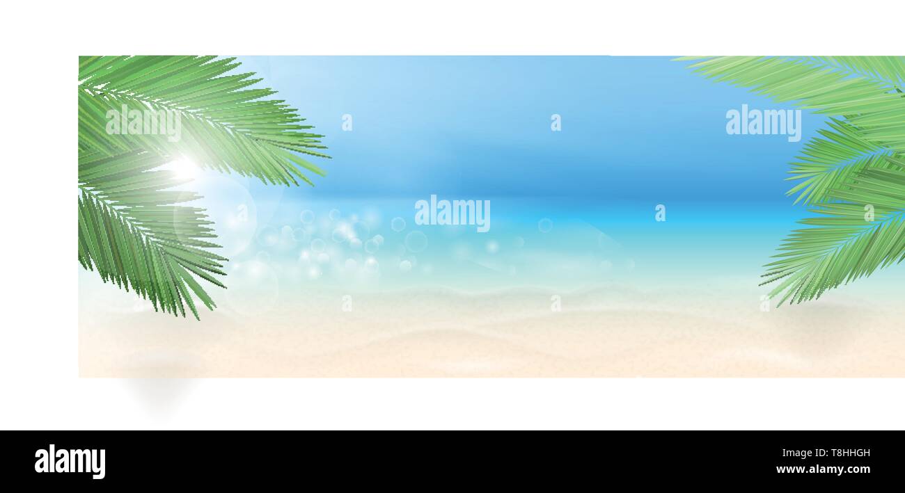 Beach with palms frond isolated vector design Stock Vector