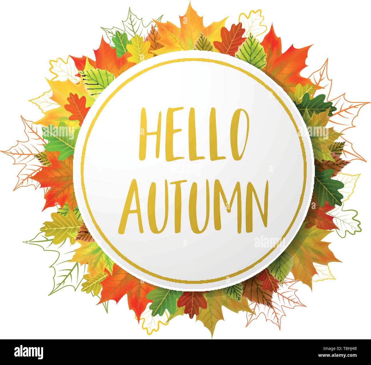 autumn fall leaves circle Stock Vector