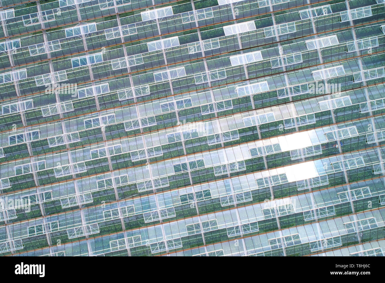 Greenhouses vertical hi-res stock photography and images - Alamy