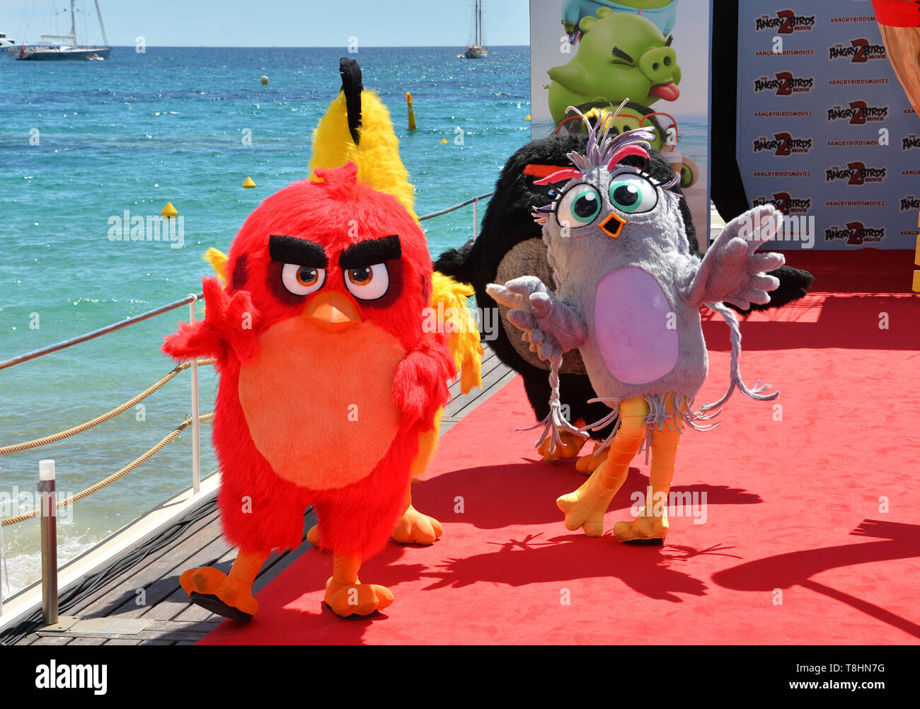 Cannes, France. 13th May, 2019. CANNES, FRANCE. May 13, 2019: Angry Birds at the photocall for 'The Angry Birds Movie 2' at the Festival de Cannes. Picture Credit: Paul Smith/Alamy Live News Stock Photo