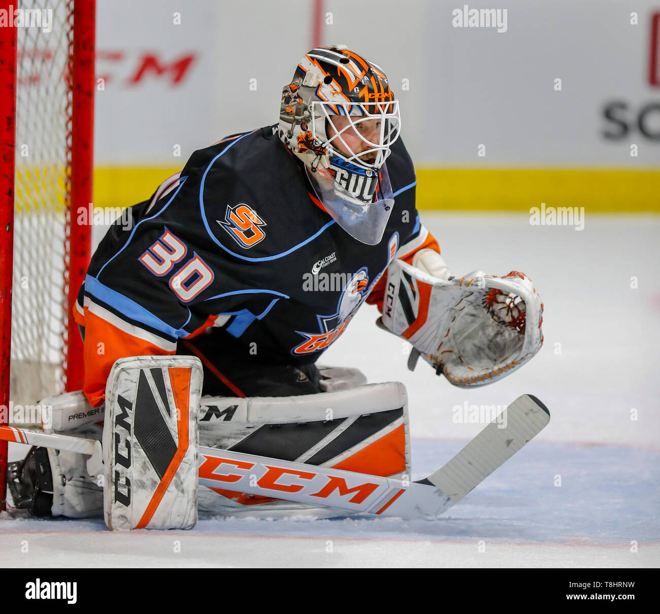 San diego gulls hi-res stock photography and images