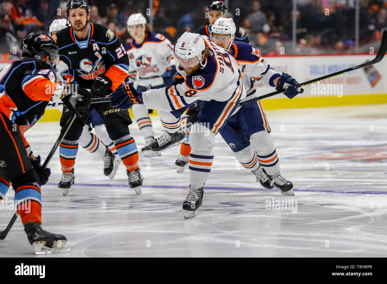 San diego gulls hi-res stock photography and images - Alamy