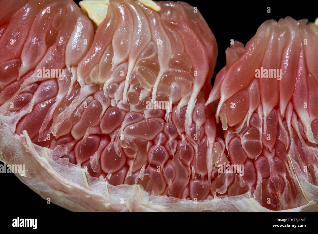 Close-up of a grapefruit segment Stock Photo