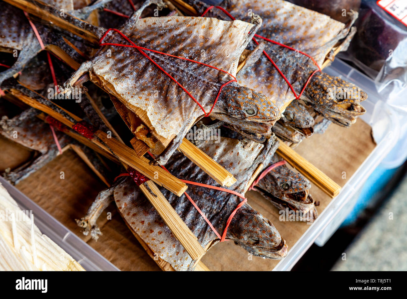 Dried Tokay Gecko For Sale In Chinese Medecine Shop, Chinatown, Singapore, South East Asia Stock Photo