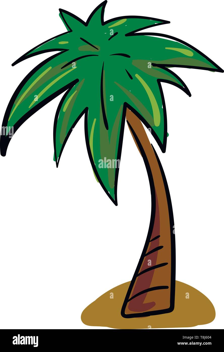 A palm tree having a crown of very long feathered or fan-shaped leaves above the land over a white background, vector, color drawing or illustration. Stock Vector