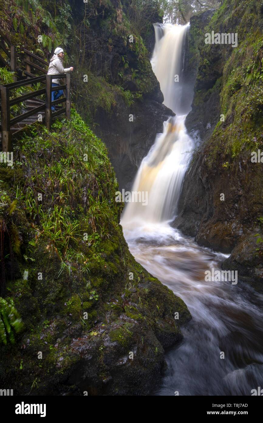United Kingdom, Northern Ireland, Ulster, county Antrim, Glens of Antrim, Laragh waterfall in the Glenariff Forest Park Stock Photo