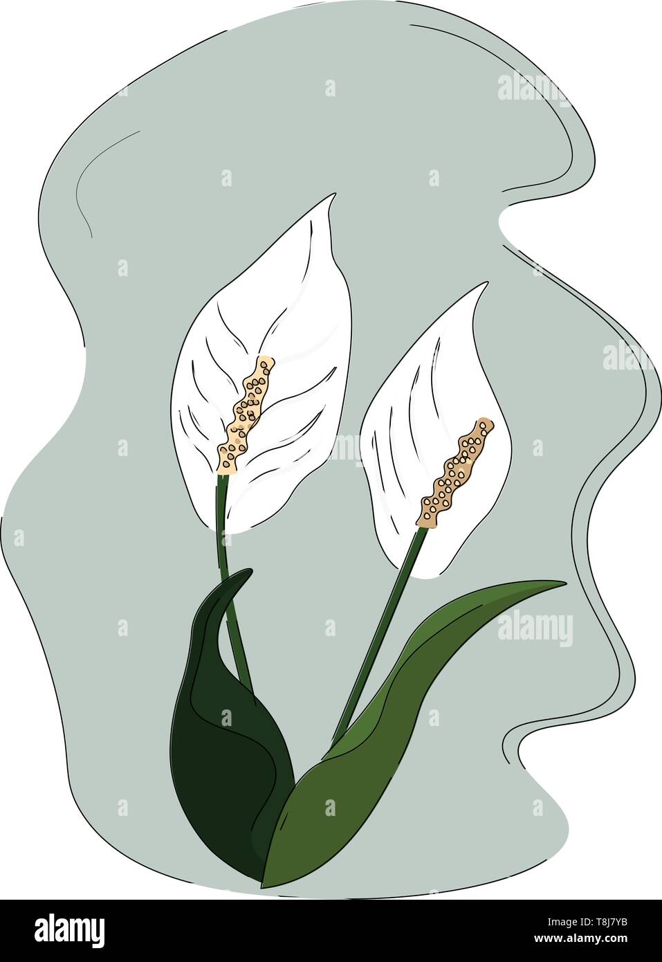 A lilies and elongated oval-shaped leaves on their stalk often symbolize humility, devotion, and peace, set isolated on white background, vector, colo Stock Vector