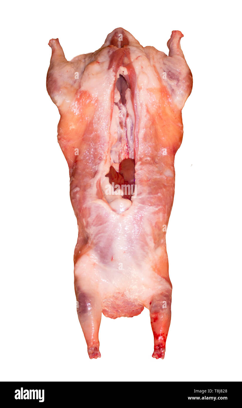 The photo of animal carcass meat for butcher’s shop, restaurant or veterinary expertise Stock Photo