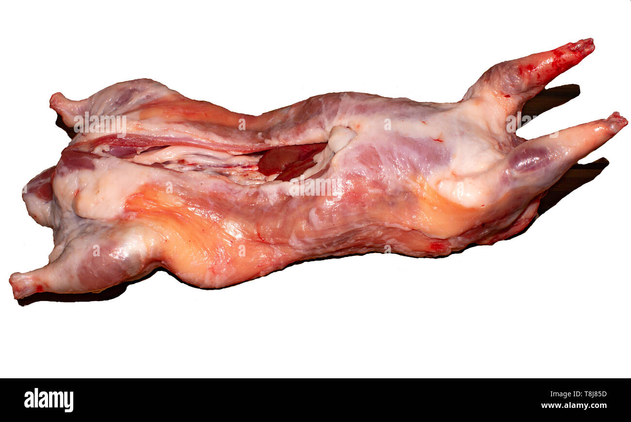 The photo of animal carcass meat for butcher’s shop, restaurant or veterinary expertise Stock Photo
