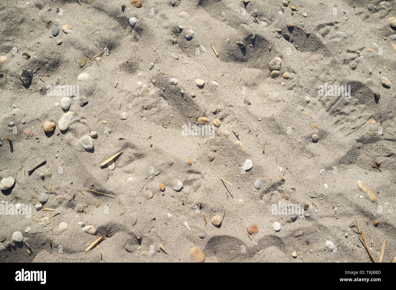Texture of Lakeside Sand with Small Stones Pieces of Wood and Human Footprints Stock Photo