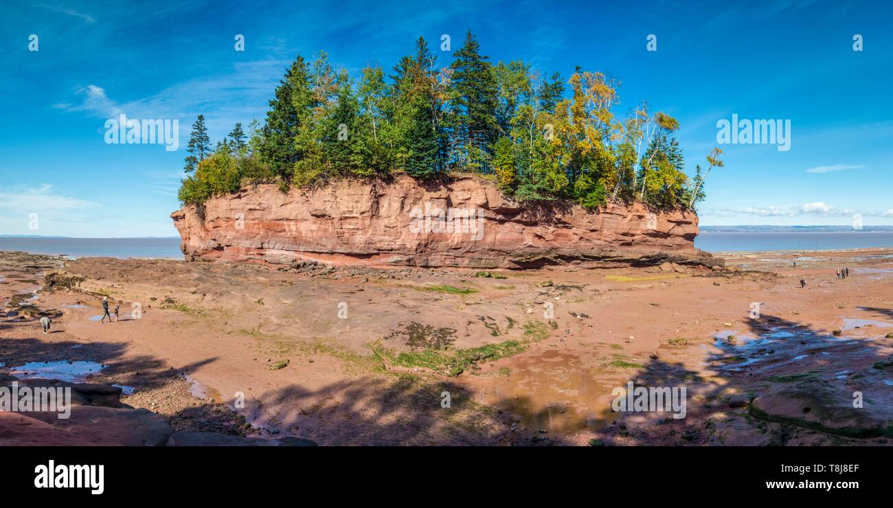 Canada, Nova Scotia, Minasville, Burncoat Head Park on the Minas Basin, small island at low tide Stock Photo