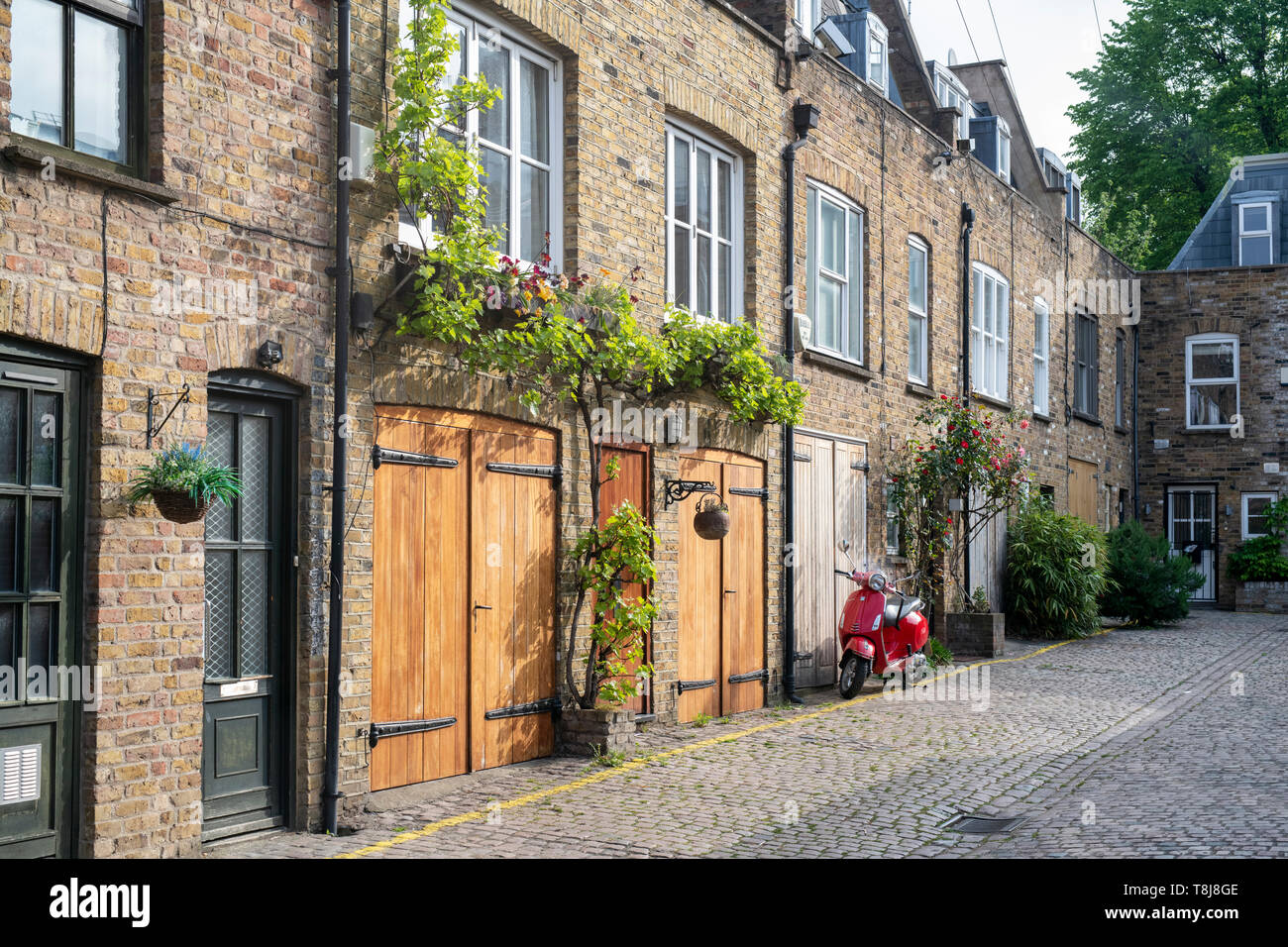 Houses with small trees and shrubs in containers in Dunworth Mews, Notting Hill, West London, England Stock Photo