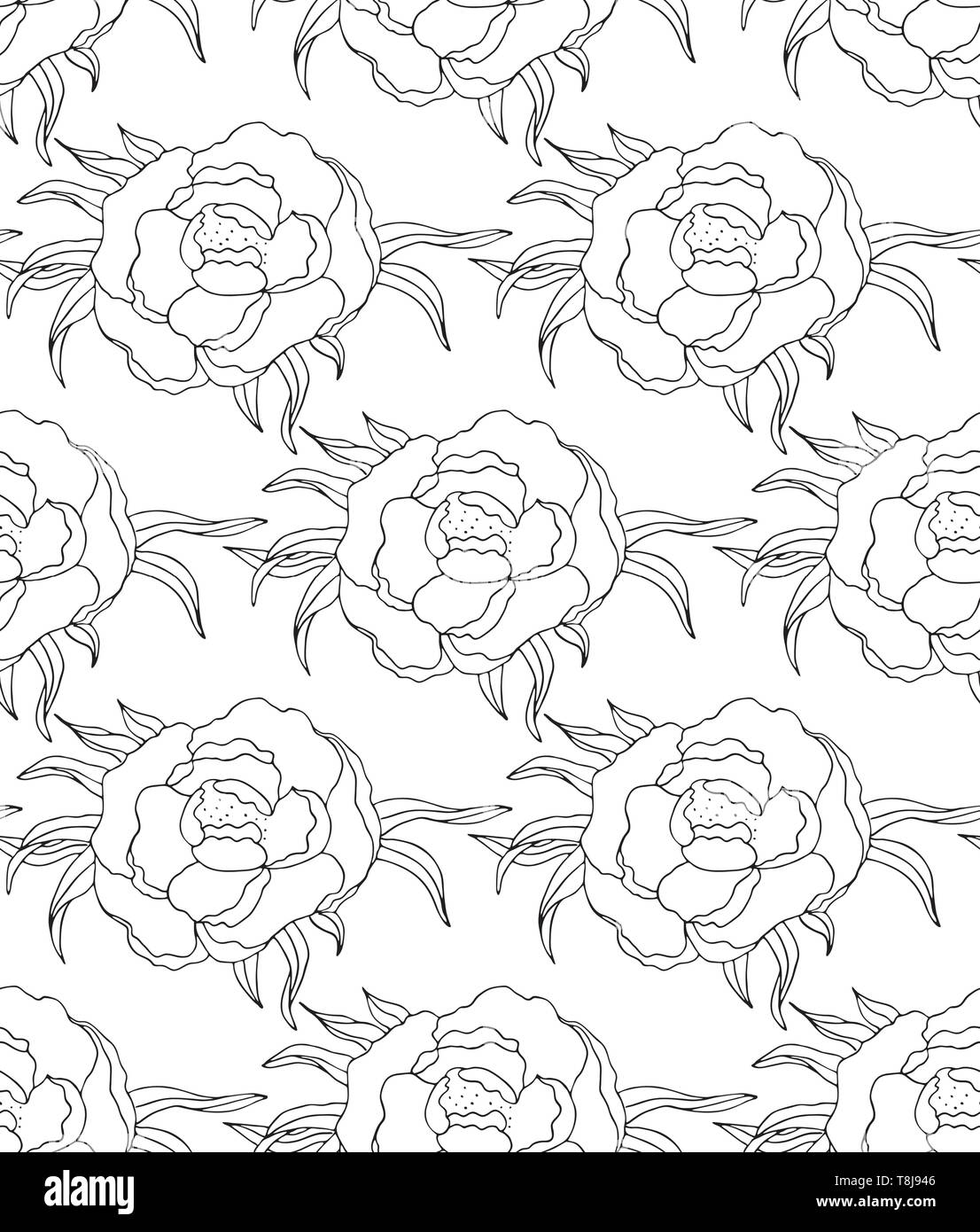 Flowers pattern, drawing and sketch with lineart on white backgrounds