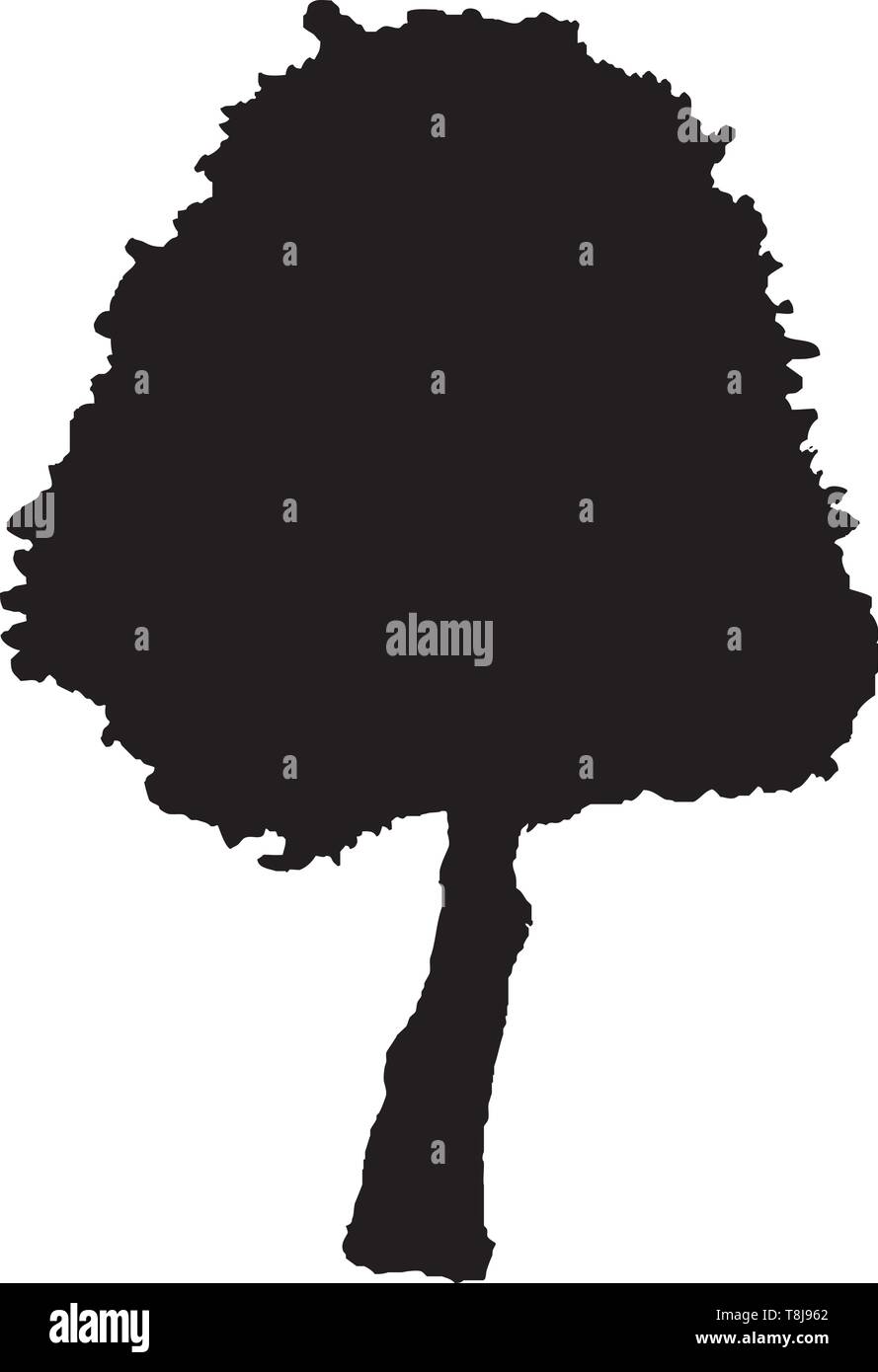 Tree vector silhouette illustration Stock Vector