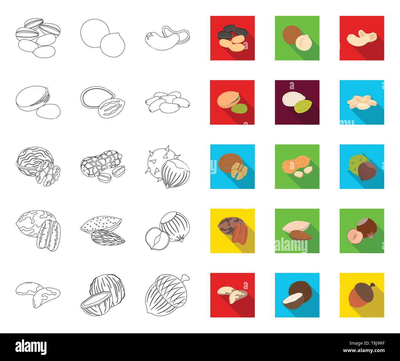 Different kinds of nuts outline,flat icons in set collection for design